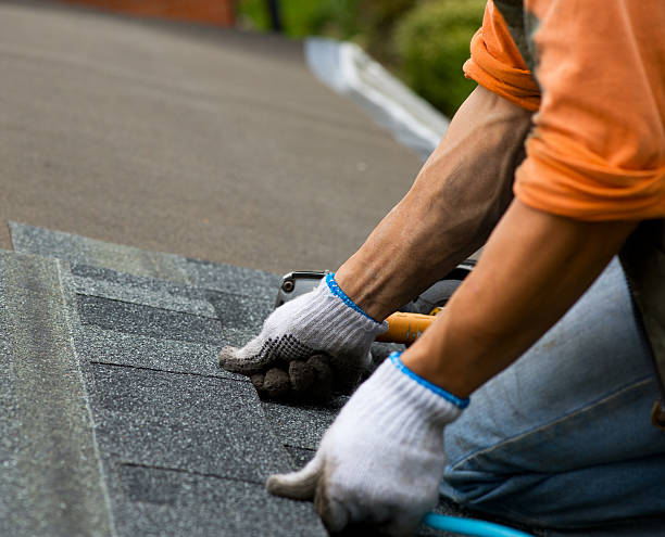 Best Roof Gutter Cleaning  in Clifton, NJ